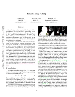 Semantic Image Matting