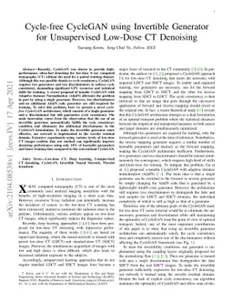 Cycle-free CycleGAN using Invertible Generator for Unsupervised Low-Dose
  CT Denoising