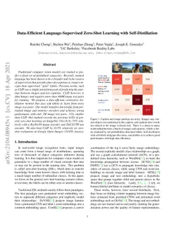 Data-Efficient Language-Supervised Zero-Shot Learning with
  Self-Distillation