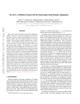 ECACL: A Holistic Framework for Semi-Supervised Domain Adaptation