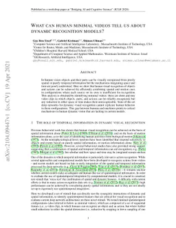 What can human minimal videos tell us about dynamic recognition models?