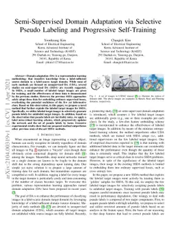 Semi-Supervised Domain Adaptation via Selective Pseudo Labeling and
  Progressive Self-Training