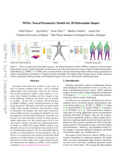 NPMs: Neural Parametric Models for 3D Deformable Shapes