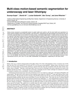 Multi-class motion-based semantic segmentation for ureteroscopy and
  laser lithotripsy