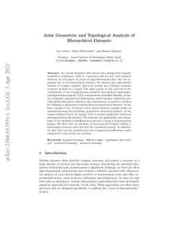Joint Geometric and Topological Analysis of Hierarchical Datasets