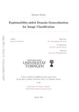 Explainability-aided Domain Generalization for Image Classification