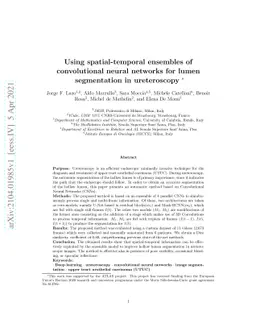 Using spatial-temporal ensembles of convolutional neural networks for
  lumen segmentation in ureteroscopy