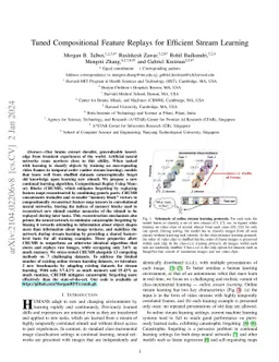 Tuned Compositional Feature Replays for Efficient Stream Learning