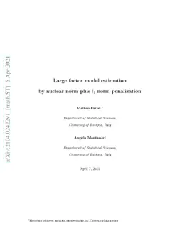 Large factor model estimation by nuclear norm plus $l_1$ norm
  penalization