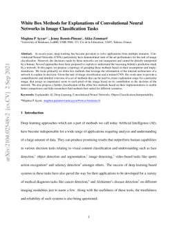 White Box Methods for Explanations of Convolutional Neural Networks in
  Image Classification Tasks