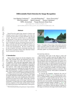 Differentiable Patch Selection for Image Recognition