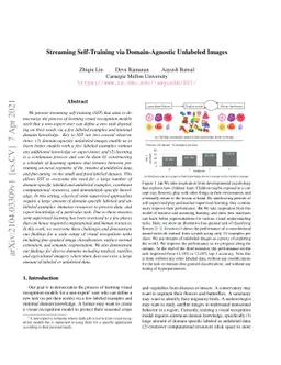 Streaming Self-Training via Domain-Agnostic Unlabeled Images