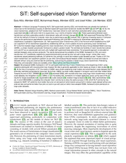SiT: Self-supervised vIsion Transformer