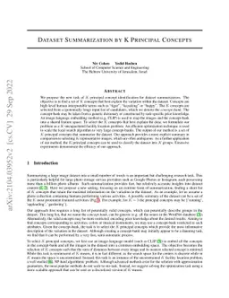Dataset Summarization by K Principal Concepts
