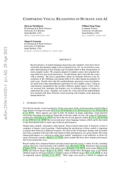 Comparing Visual Reasoning in Humans and AI