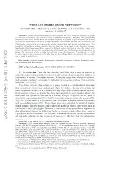 What are higher-order networks?