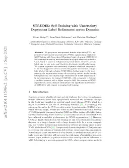 STRUDEL: Self-Training with Uncertainty Dependent Label Refinement
  across Domains
