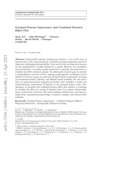Grouped Feature Importance and Combined Features Effect Plot
