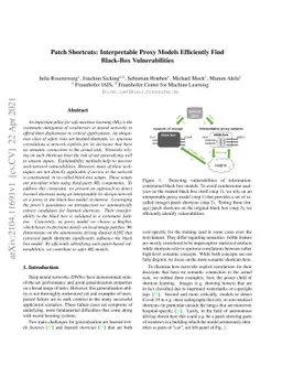 Patch Shortcuts: Interpretable Proxy Models Efficiently Find Black-Box
  Vulnerabilities