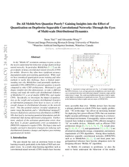 Do All MobileNets Quantize Poorly? Gaining Insights into the Effect of
  Quantization on Depthwise Separable Convolutional Networks Through the Eyes
  of Multi-scale Distributional Dynamics