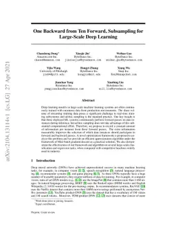 One Backward from Ten Forward, Subsampling for Large-Scale Deep Learning