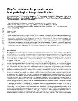 DiagSet: a dataset for prostate cancer histopathological image
  classification