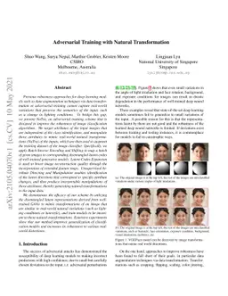Robust Training Using Natural Transformation