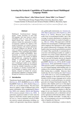 Assessing the Syntactic Capabilities of Transformer-based Multilingual
  Language Models