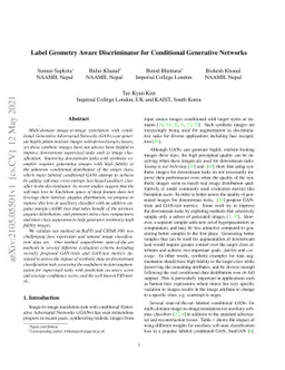 Label Geometry Aware Discriminator for Conditional Generative Networks