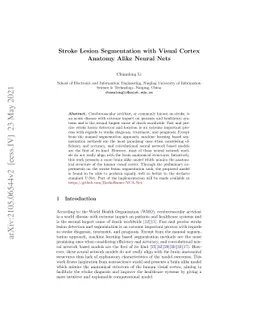 Stroke Lesion Segmentation with Visual Cortex Anatomy Alike Neural Nets