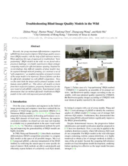 Troubleshooting Blind Image Quality Models in the Wild