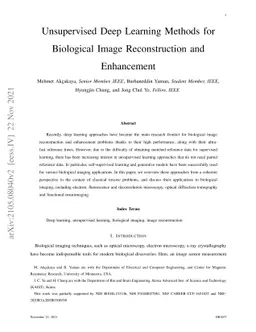 Unsupervised Deep Learning Methods for Biological Image Reconstruction
  and Enhancement