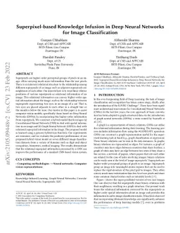 Superpixel-based Knowledge Infusion in Deep Neural Networks for Image
  Classification