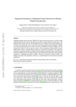 Negational Symmetry of Quantum Neural Networks for Binary Pattern
  Classification