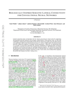 Biologically Inspired Semantic Lateral Connectivity for Convolutional
  Neural Networks