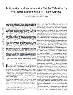 Informative and Representative Triplet Selection for Multilabel Remote
  Sensing Image Retrieval