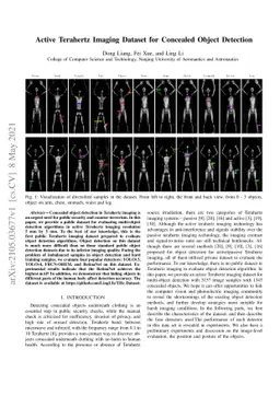 Active Terahertz Imaging Dataset for Concealed Object Detection