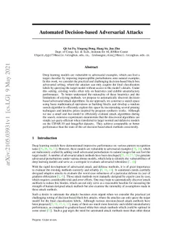 Automated Decision-based Adversarial Attacks