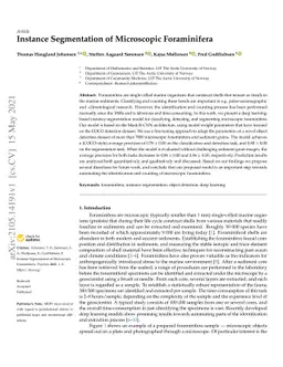 Instance Segmentation of Microscopic Foraminifera