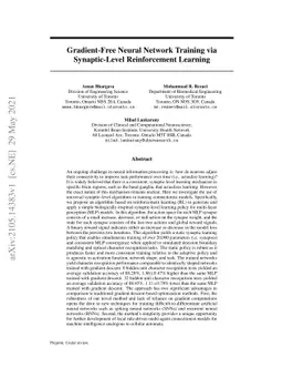 Gradient-Free Neural Network Training via Synaptic-Level Reinforcement
  Learning