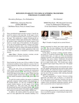 Rotation invariant CNN using scattering transform for image
  classification