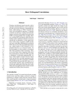 Skew Orthogonal Convolutions