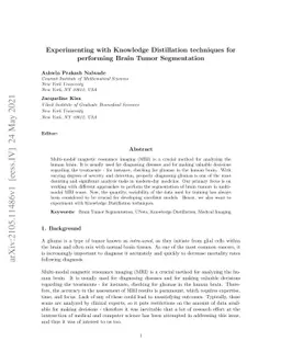 Experimenting with Knowledge Distillation techniques for performing
  Brain Tumor Segmentation