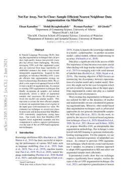 Not Far Away, Not So Close: Sample Efficient Nearest Neighbour Data
  Augmentation via MiniMax