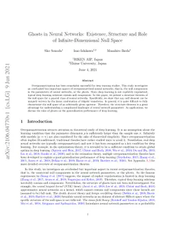 Ghosts in Neural Networks: Existence, Structure and Role of
  Infinite-Dimensional Null Space