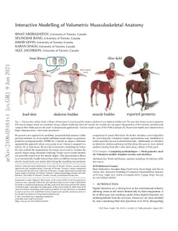 Interactive Modelling of Volumetric Musculoskeletal Anatomy