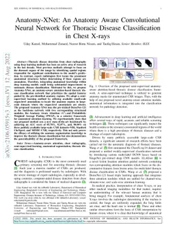 Anatomy-XNet: An Anatomy Aware Convolutional Neural Network for Thoracic
  Disease Classification in Chest X-rays