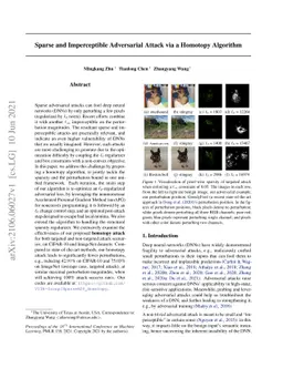 Sparse and Imperceptible Adversarial Attack via a Homotopy Algorithm