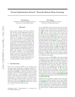 Neural Optimization Kernel: Towards Robust Deep Learning