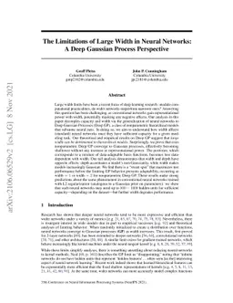 The Limitations of Large Width in Neural Networks: A Deep Gaussian
  Process Perspective